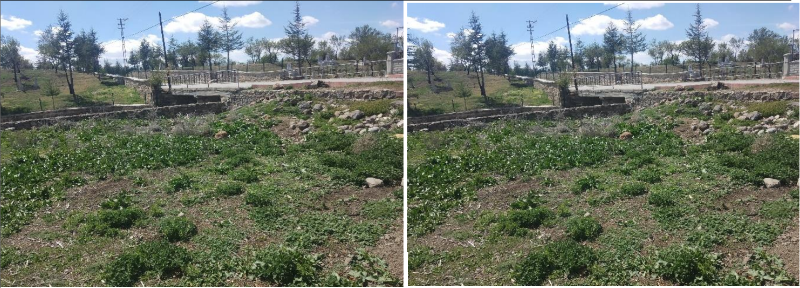 KONYA SEYDİŞEHİR ARSA TAPU SAHİBİ PERTA EMLAK ÜMİT TAHMAZ