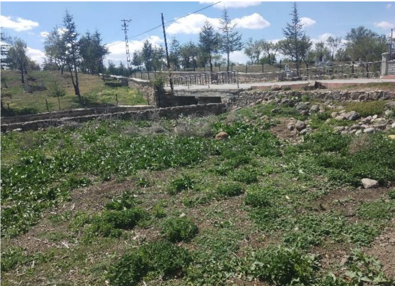 KONYA SEYDİŞEHİR ARSA TAPU SAHİBİ PERTA EMLAK ÜMİT TAHMAZ