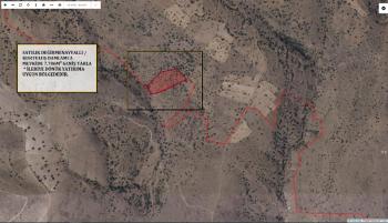 AFYON ÜÇOK EMLAKTAN DEĞİRMENAYVALLI/KURTULUŞ DA SATILIK 7.706M² TARLA