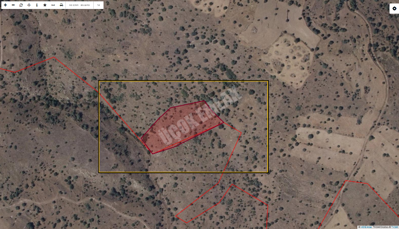 AFYON ÜÇOK EMLAKTAN DEĞİRMENAYVALLI/KURTULUŞ DA SATILIK 7.706M² TARLA