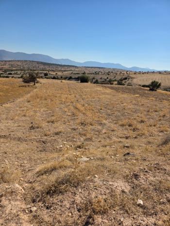 ANTALYA KORKUTELİ BÜYÜKKÖY DE TATILIK TARLA