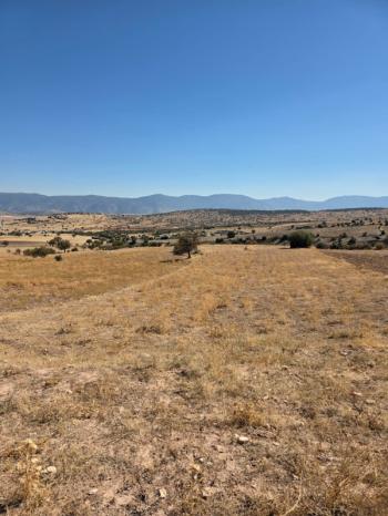 ANTALYA KORKUTELİ BÜYÜKKÖY DE TATILIK TARLA