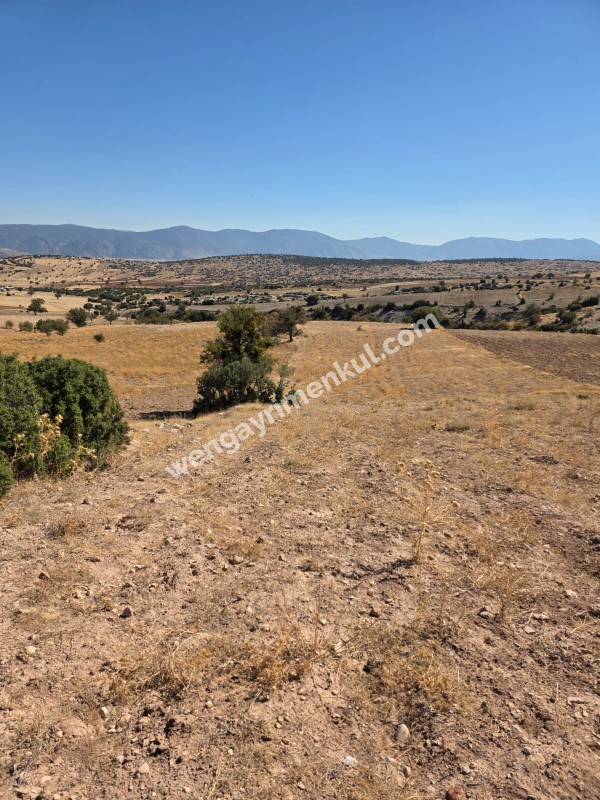 ANTALYA KORKUTELİ BÜYÜKKÖY DE TATILIK TARLA