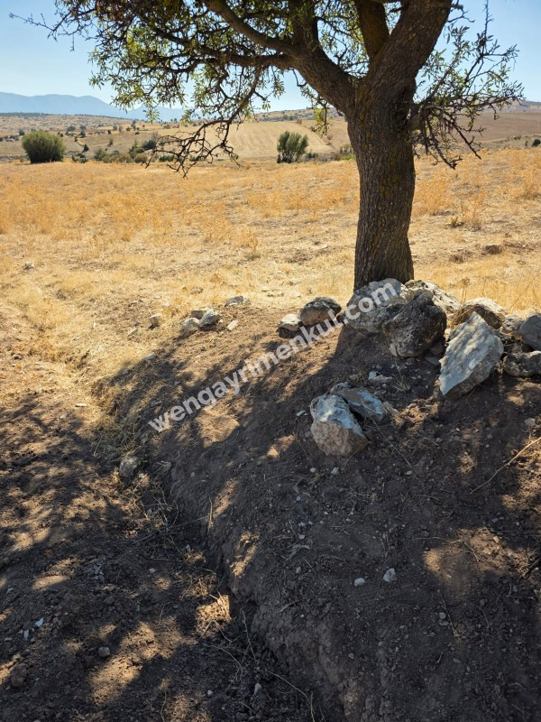 ANTALYA KORKUTELİ BÜYÜKKÖY DE TATILIK TARLA