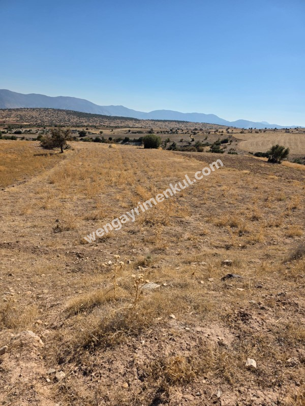 ANTALYA KORKUTELİ BÜYÜKKÖY DE TATILIK TARLA
