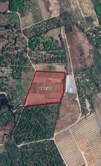 ASLANDAN ELVANLI MERKEZİNDE 2.500 M2 CAZİP FİYATLI SATILIK TARLA