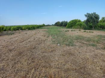 ASLANDAN ELVANLI MERKEZİNDE 2.500 M2 CAZİP FİYATLI SATILIK TARLA