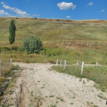 GÜVENAY - ÇORUM MERKEZ SARMAŞA KÖYÜ SATILIK HOBİ BAHÇESİ 