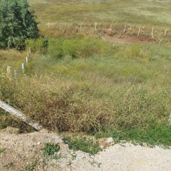 GÜVENAY - ÇORUM MERKEZ SARMAŞA KÖYÜ SATILIK HOBİ BAHÇESİ 