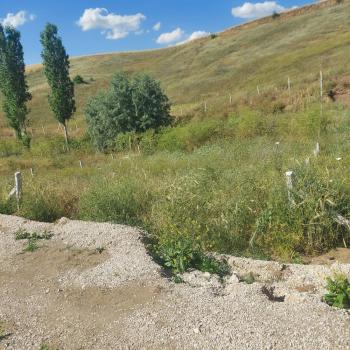 GÜVENAY - ÇORUM MERKEZ SARMAŞA KÖYÜ SATILIK HOBİ BAHÇESİ 