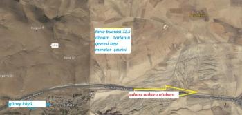 ULUKIŞLA  GÜNEY  KÖYÜNDE  72 DÖNÜM SATILK TARLA