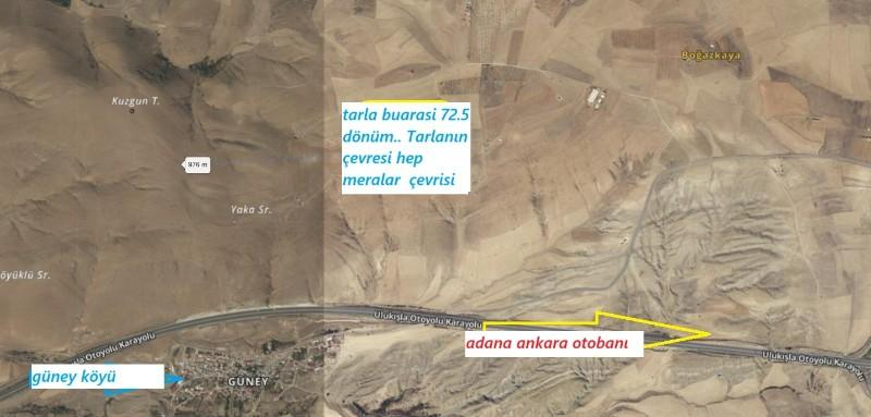 ULUKIŞLA  GÜNEY  KÖYÜNDE  72 DÖNÜM SATILK TARLA