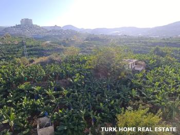 2+1 LUXURY APARTMENT FOR SALE IN ALANYA MAHMUTLAR 