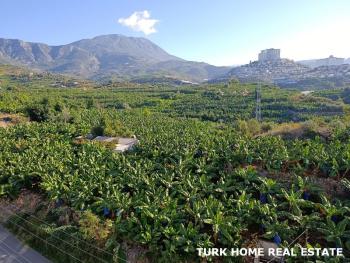 2+1 LUXURY APARTMENT FOR SALE IN ALANYA MAHMUTLAR 