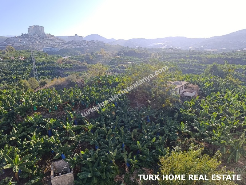 2+1 LUXURY APARTMENT FOR SALE IN ALANYA MAHMUTLAR 