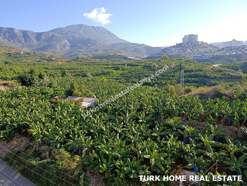 2+1 LUXURY APARTMENT FOR SALE IN ALANYA MAHMUTLAR 