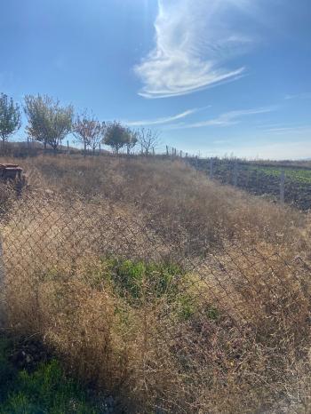 GÜVENAY - ÇORUM OSMANCIK YOLU ÜZERİ SATILIK HOBİ BAHÇESİ