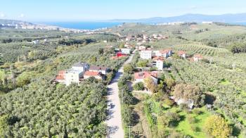EMLAK HABERCİSİ 'NDEN BURSA MUDANYA  GÖYNÜKLÜ TAPULU  - KÖYİÇİ YERLEŞİME YAKIN 5.650 M2 SATILIK ZEYTİNLİK