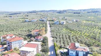 EMLAK HABERCİSİ 'NDEN BURSA MUDANYA  GÖYNÜKLÜ TAPULU  - KÖYİÇİ YERLEŞİME YAKIN 5.650 M2 SATILIK ZEYTİNLİK