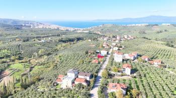 EMLAK HABERCİSİ 'NDEN BURSA MUDANYA  GÖYNÜKLÜ TAPULU  - KÖYİÇİ YERLEŞİME YAKIN 5.650 M2 SATILIK ZEYTİNLİK