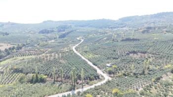 EMLAK HABERCİSİ 'NDEN BURSA MUDANYA ÇEPNİ TAPULU  - TARLA VASFINDA 4.450M2 KÖYE 500 MT. YOLA CEPHE, ORMANA SINIR FIRSAT SATILIK ARAZİ