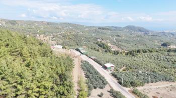 EMLAK HABERCİSİ 'NDEN BURSA MUDANYA ÇEPNİ TAPULU  - TARLA VASFINDA 4.450M2 KÖYE 500 MT. YOLA CEPHE, ORMANA SINIR FIRSAT SATILIK ARAZİ