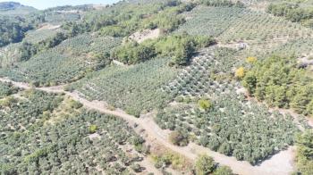 EMLAK HABERCİSİ 'NDEN BURSA MUDANYA ÇEPNİ TAPULU  - TARLA VASFINDA 4.450M2 KÖYE 500 MT. YOLA CEPHE, ORMANA SINIR FIRSAT SATILIK ARAZİ