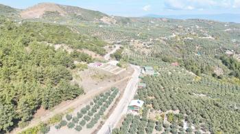 EMLAK HABERCİSİ 'NDEN BURSA MUDANYA ÇEPNİ TAPULU  - TARLA VASFINDA 4.450M2 KÖYE 500 MT. YOLA CEPHE, ORMANA SINIR FIRSAT SATILIK ARAZİ