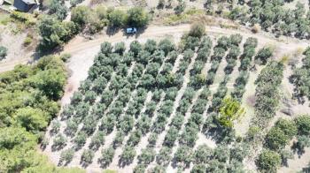 EMLAK HABERCİSİ 'NDEN BURSA MUDANYA ÇEPNİ TAPULU  - TARLA VASFINDA 4.450M2 KÖYE 500 MT. YOLA CEPHE, ORMANA SINIR FIRSAT SATILIK ARAZİ