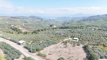 EMLAK HABERCİSİ 'NDEN BURSA MUDANYA ÇEPNİ TAPULU  - TARLA VASFINDA 4.450M2 KÖYE 500 MT. YOLA CEPHE, ORMANA SINIR FIRSAT SATILIK ARAZİ