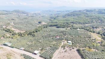 EMLAK HABERCİSİ 'NDEN BURSA MUDANYA ÇEPNİ TAPULU  - TARLA VASFINDA 4.450M2 KÖYE 500 MT. YOLA CEPHE, ORMANA SINIR FIRSAT SATILIK ARAZİ