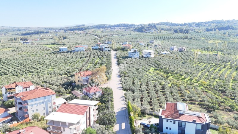 EMLAK HABERCİSİ 'NDEN BURSA MUDANYA  GÖYNÜKLÜ TAPULU  - KÖYİÇİ YERLEŞİME YAKIN 5.650 M2 SATILIK ZEYTİNLİK