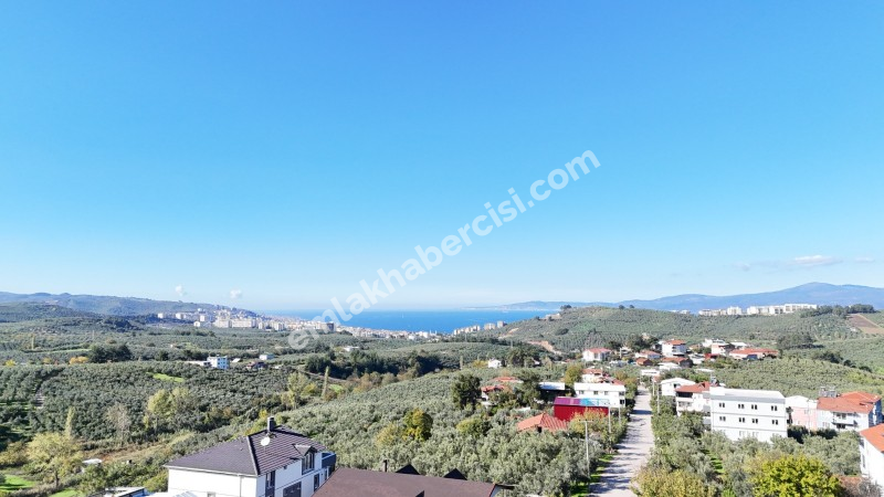 EMLAK HABERCİSİ 'NDEN BURSA MUDANYA  GÖYNÜKLÜ TAPULU  - KÖYİÇİ YERLEŞİME YAKIN 5.650 M2 SATILIK ZEYTİNLİK