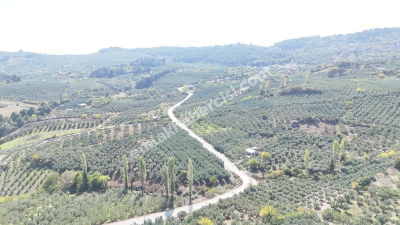 EMLAK HABERCİSİ 'NDEN BURSA MUDANYA ÇEPNİ TAPULU  - TARLA VASFINDA 4.450M2 KÖYE 500 MT. YOLA CEPHE, ORMANA SINIR FIRSAT SATILIK ARAZİ