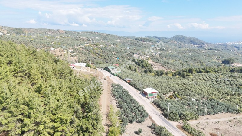 EMLAK HABERCİSİ 'NDEN BURSA MUDANYA ÇEPNİ TAPULU  - TARLA VASFINDA 4.450M2 KÖYE 500 MT. YOLA CEPHE, ORMANA SINIR FIRSAT SATILIK ARAZİ