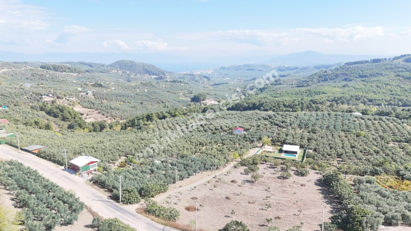 EMLAK HABERCİSİ 'NDEN BURSA MUDANYA ÇEPNİ TAPULU  - TARLA VASFINDA 4.450M2 KÖYE 500 MT. YOLA CEPHE, ORMANA SINIR FIRSAT SATILIK ARAZİ