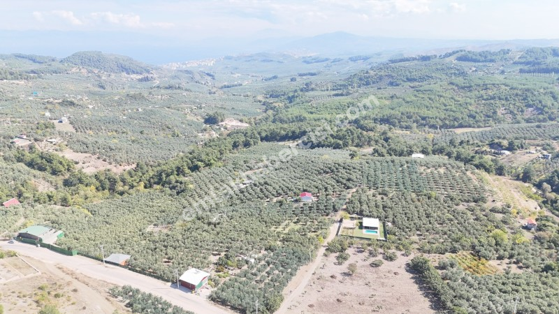 EMLAK HABERCİSİ 'NDEN BURSA MUDANYA ÇEPNİ TAPULU  - TARLA VASFINDA 4.450M2 KÖYE 500 MT. YOLA CEPHE, ORMANA SINIR FIRSAT SATILIK ARAZİ