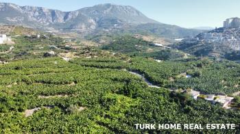 2+1 LUXURY APARTMENT FOR SALE IN ALANYA MAHMUTLAR 