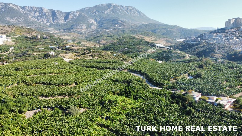 2+1 LUXURY APARTMENT FOR SALE IN ALANYA MAHMUTLAR 