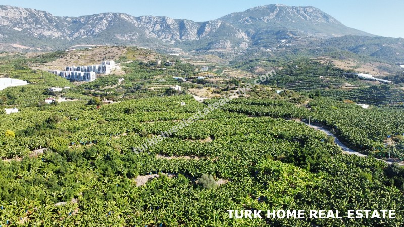 2+1 LUXURY APARTMENT FOR SALE IN ALANYA MAHMUTLAR 