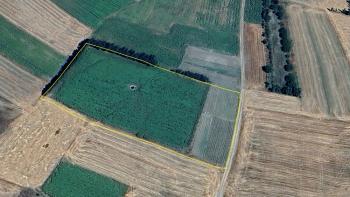 GÜVENAY - ÇORUM ŞEKER FABR. ARKASI ÇEŞMEÖREN KÖYÜNDE SATILIK TARLA