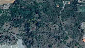 GÜVENAY - ÇORUM MERKEZ BÜĞDÜZ KÖYÜ 591M2 SATILIK BAĞ - BAHÇE