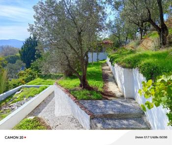 BURSA-MUDANYA ANA YOLA 1 KM MESAFEDE MUDANYA IŞIKLI YOLU 'NDA  ASFALTA CEPHE 6+1 VİLLA& KONAK