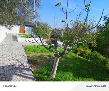 BURSA-MUDANYA ANA YOLA 1 KM MESAFEDE MUDANYA IŞIKLI YOLU 'NDA  ASFALTA CEPHE 6+1 VİLLA& KONAK