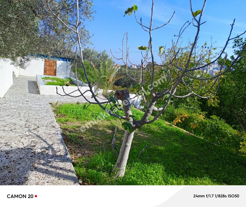 BURSA-MUDANYA ANA YOLA 1 KM MESAFEDE MUDANYA IŞIKLI YOLU 'NDA  ASFALTA CEPHE 6+1 VİLLA& KONAK