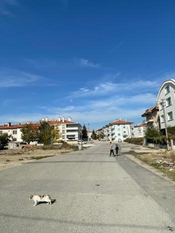  AFYON ÜÇOK EMLAKTAN MAREŞAL F ÇAKMAK MAH SATILIK BODRUM+2 KATLI FIRSAT BİNA