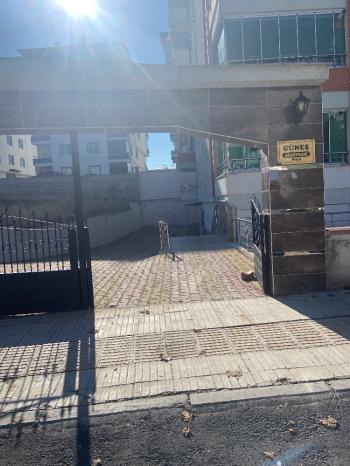 GÜVENAY - ÇORUM KALE MAHALLESİ LOZANEVLER ARKASI SATILIK DAİRE 