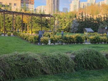 METROBÜSE YÜRÜME 2+1 REZİDANS DAİRE!