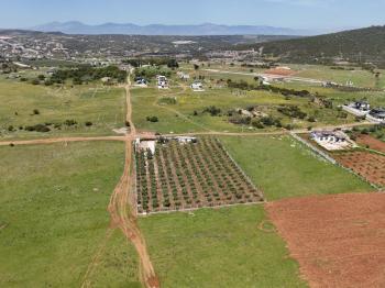 DİDİM DE  SATILIK İMARLI ARSA 340M2 ZÜMRÜTTEPENİN YANIBAŞINDA 