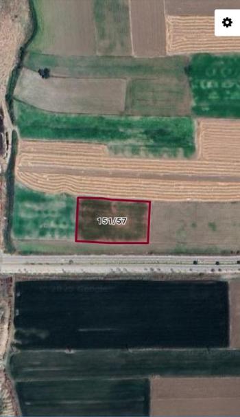 GUVENAY - ÇORUM AK KENT MAHALLESİ YOL ÜZERİ  2850 M2 HİSSELİ TARLA